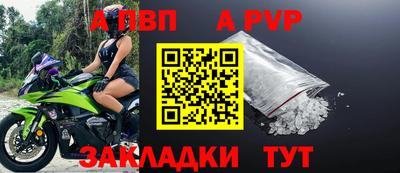 стафф Донской