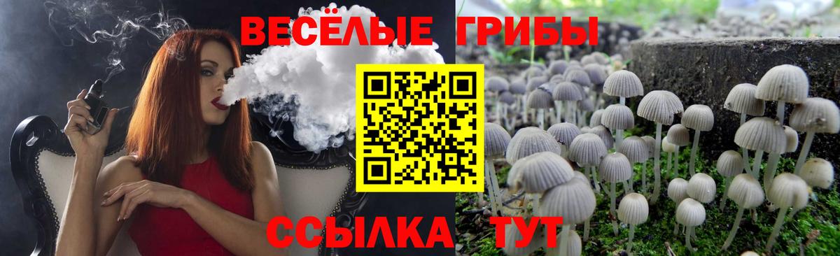 Псилоцибиновые грибы Psilocybe Зерноград